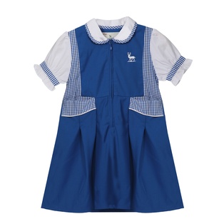 Kindergarten Dress
