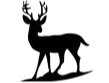 Deer&Dear