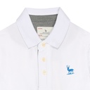 قميص بولو_Boy's Polo Shirts