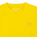 Boy's T-Shirt