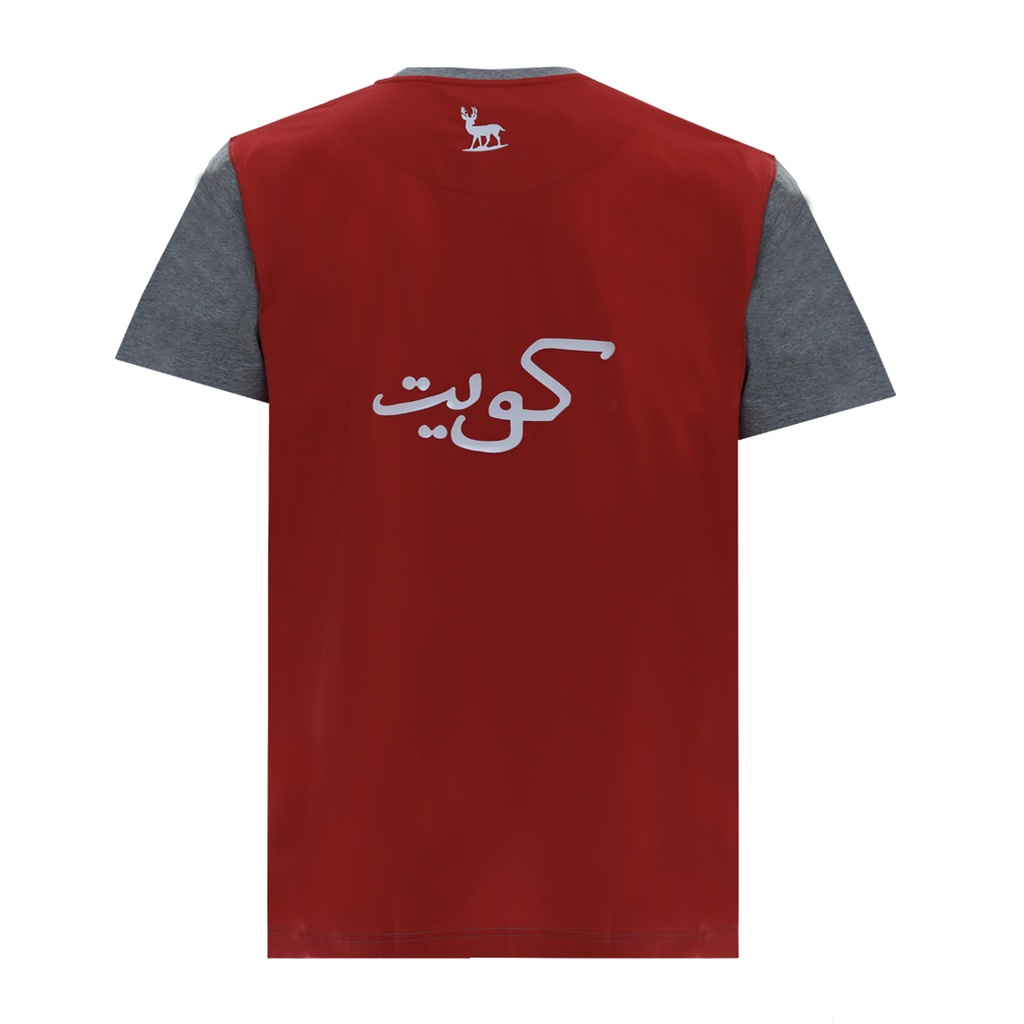 تي شيرت_Men's T-Shirt