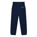 بنطال رياضي_Men's Training Pants