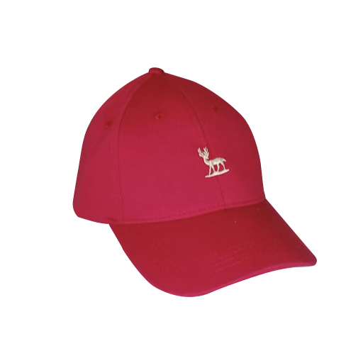 D&D Kids Cap