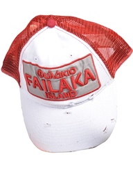 [D15MN35116103 / 533-FREE] كاب