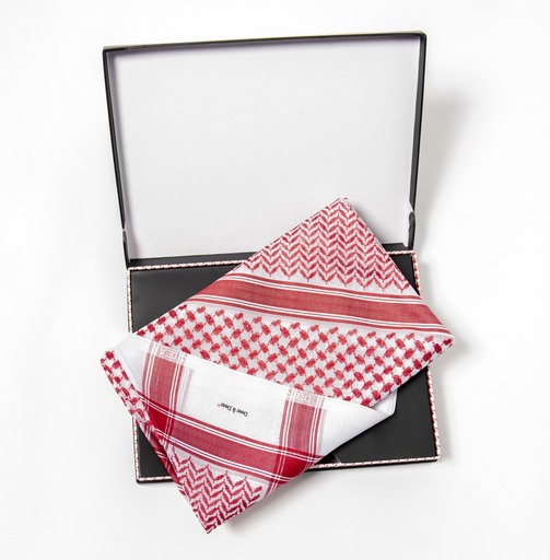 [D19MN36117103] D&D Ghutra