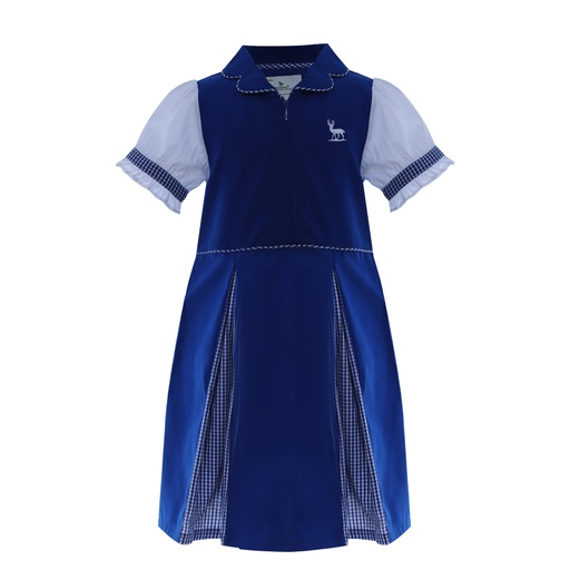[D20GR29112115] Kindergarten Dress