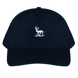 [D20MN35116701] D&amp;D Cap