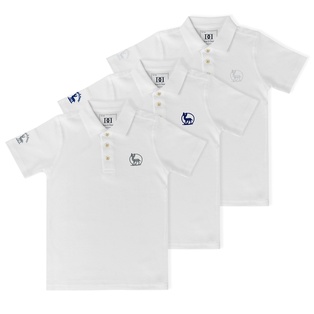 Men's Polo Shirt