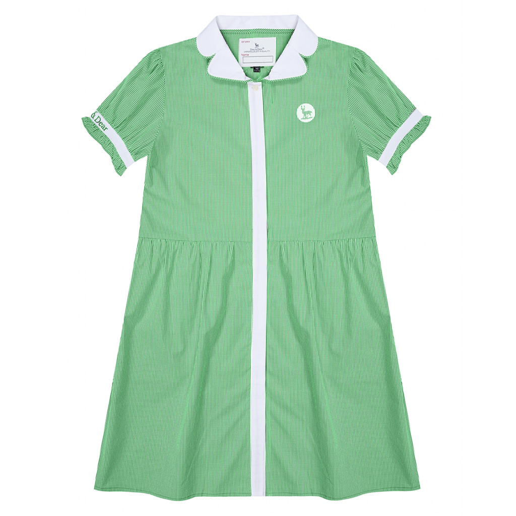 Girl's Dress