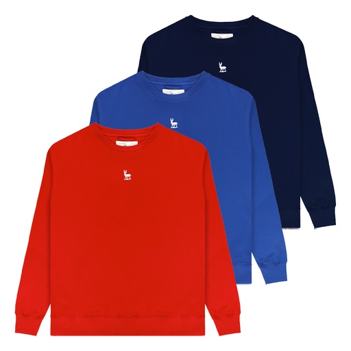 [DAU2BC4710104] D&D Sweatshirt