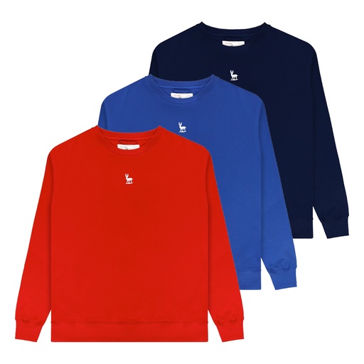 [DKU2BC4710104] Kids Sweatshirt