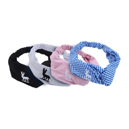 [DGR1BE5059102] D&amp;D Alice Band