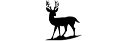 Deer&Dear